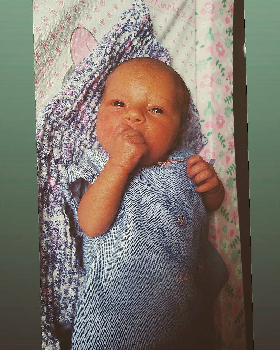 Amelia-rose joined the competition — help win amazing prizes! adaptation, baby, cheek, child, eye, face, forehead, head, nose, person, skin, toddler