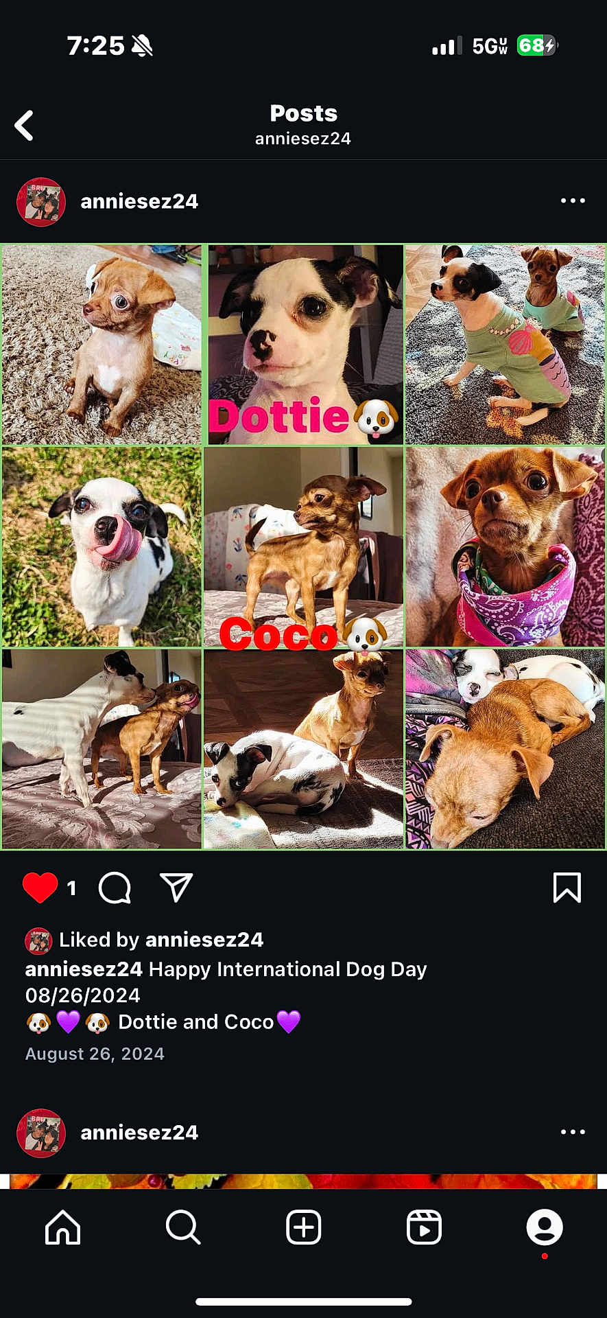 Coco Dottie