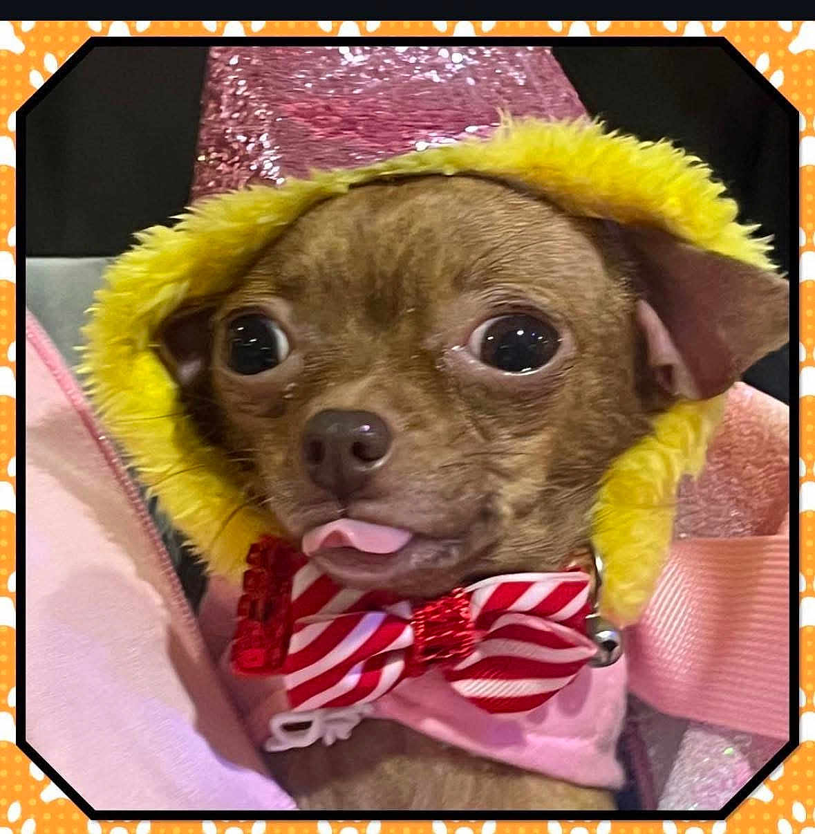 Coco