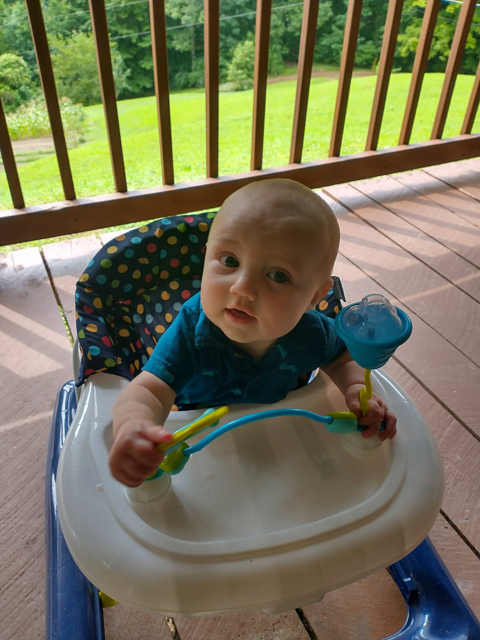 Kolby joined the competition — help win amazing prizes! baby, baby_products, baby_safety, baby_toddler_clothing, bib, chair, child, fence, flooring, fun, grass, green, leisure, mammal, outdoor_furniture, person, plant, recreation, sitting, toddler