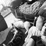 Boots is registered to the contest to win money with this photo: arm, black, black_and_white, cat, child, girl, hand, human, human_behavior, mammal, monochrome, monochrome_photography, organ, person, photograph, photography, sitting, snapshot, vertebrate, white