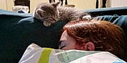 Ruby is registered to the contest to win money with this photo: sleeping, person, kitten, cat, blanket, couch, indoor, table, chair, flag, wall, nap, resting, furniture, cozy, home, relaxation, pet, animal, domestic