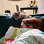 sleeping, person, kitten, cat, blanket, couch, indoor, table, chair, flag, wall, nap, resting, furniture, cozy, home, relaxation, pet, animal, domestic