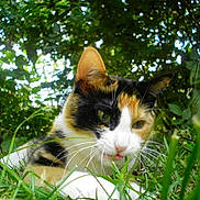 Misha is registered to the contest to win money with this photo: