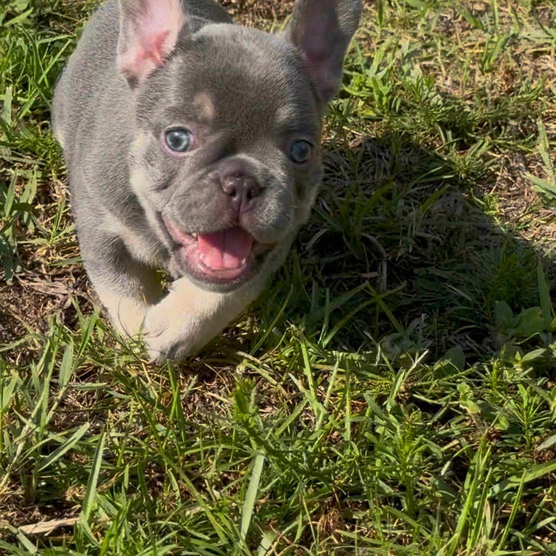 Stormi