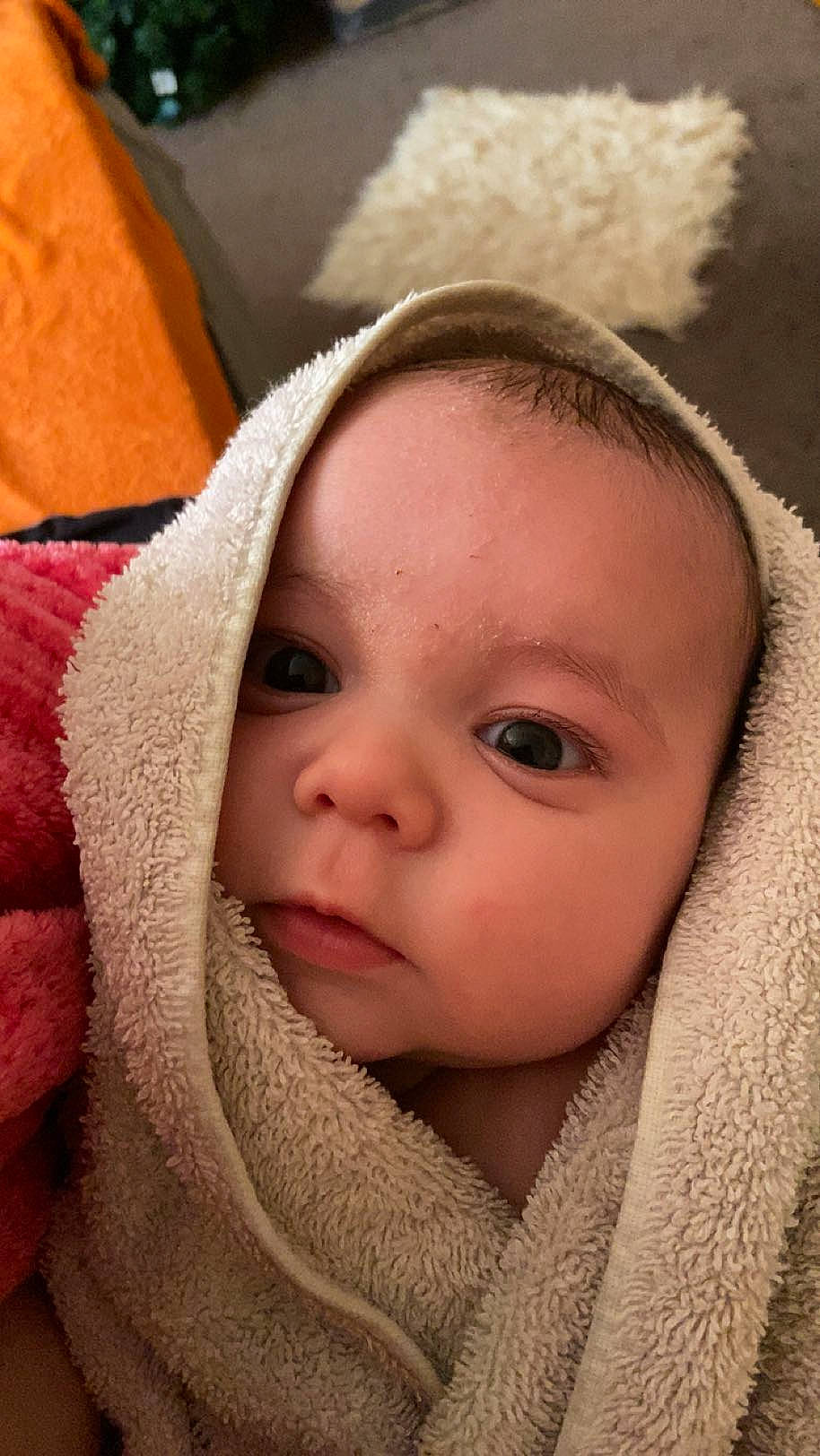 Hank is registered to the contest to win money with this photo: baby, beauty, cheek, child, close_up, comfort, eye, eyebrow, eyelash, face, fur, head, iris, linens, lip, no_expression, nose, person, skin, textile