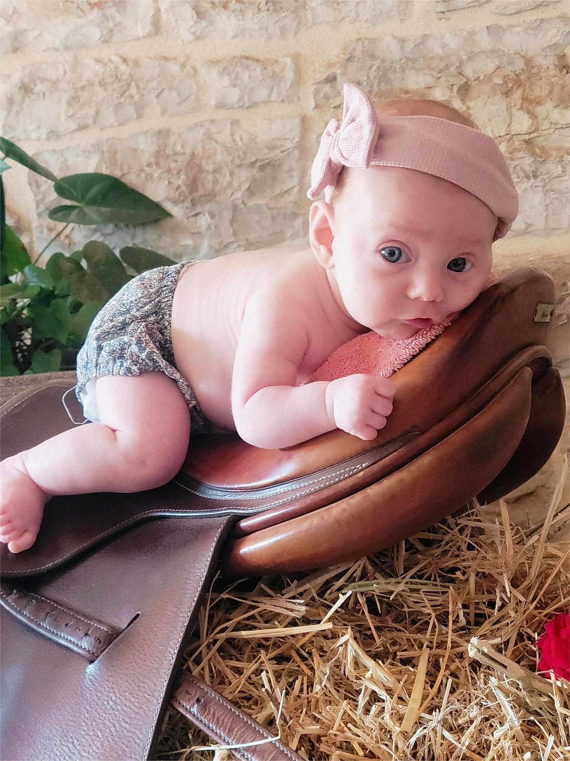 Capucine participe au concours pour gagner de l'argent avec cette photo : baby, headband, leather, saddle, straw, stone_wall, plant, indoor, curious, child, diaper, pink, face, skin, resting, closeup, person, infant, cute, portrait