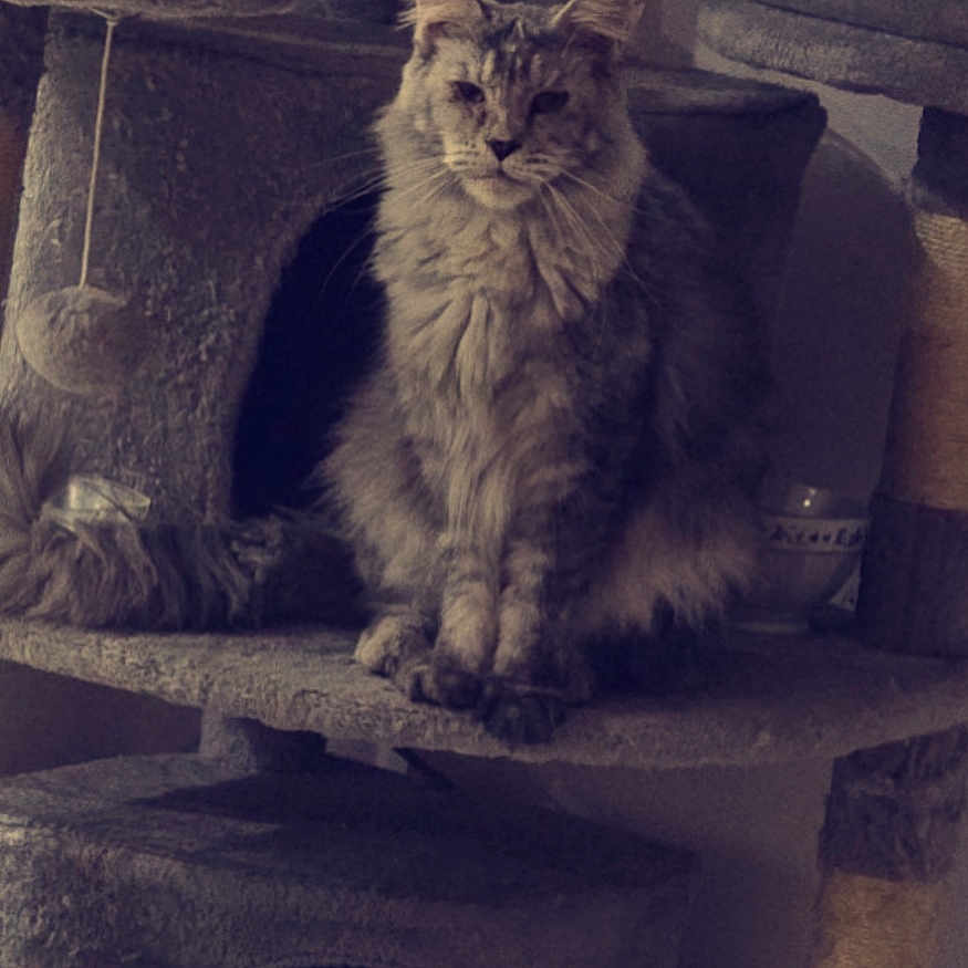 Ursula