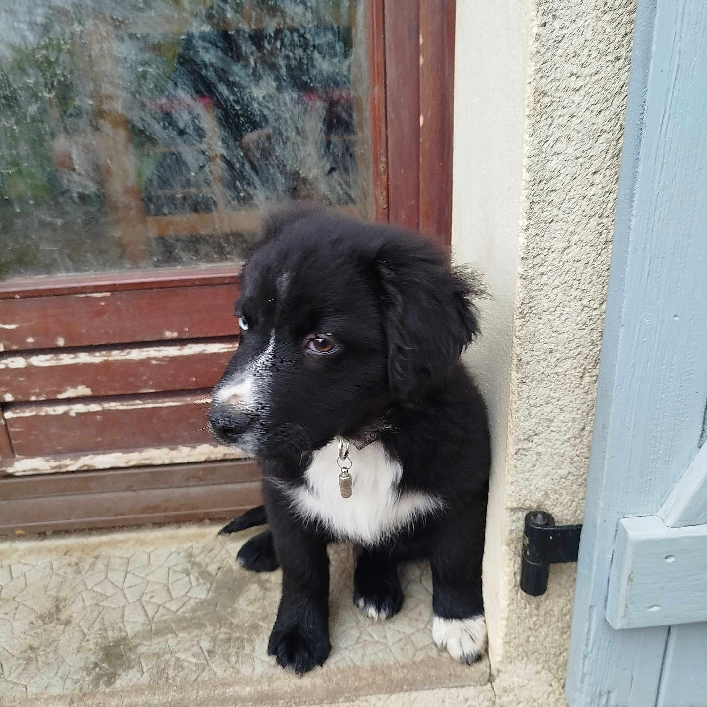Ayko
