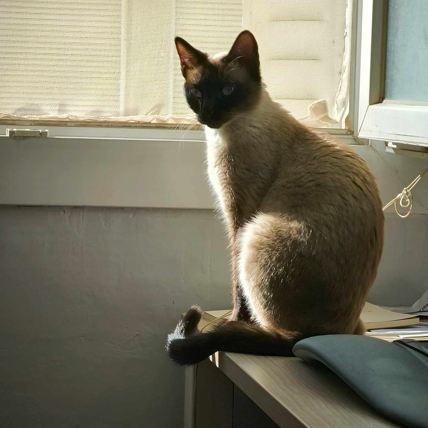 Yuki