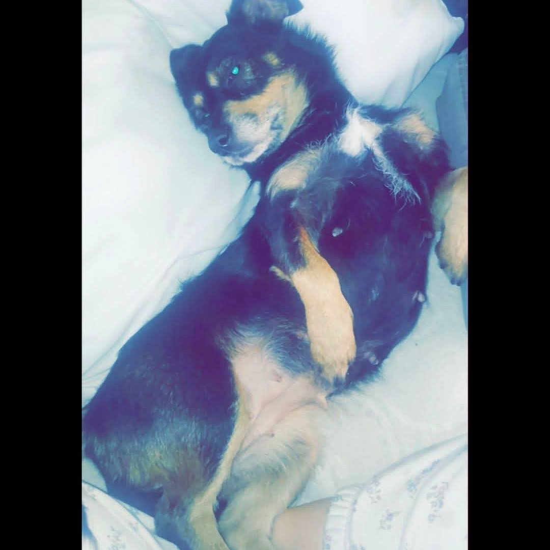 Balie Boo