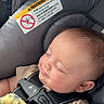 Nashtyn joined the competition — help win amazing prizes! baby, car_seat, child, sleeping, blanket, seat_belt, infant, soft_light, cozy, peaceful, close_up, indoor, warning_label, clothing, head, face, young_child, resting, safety, comfort