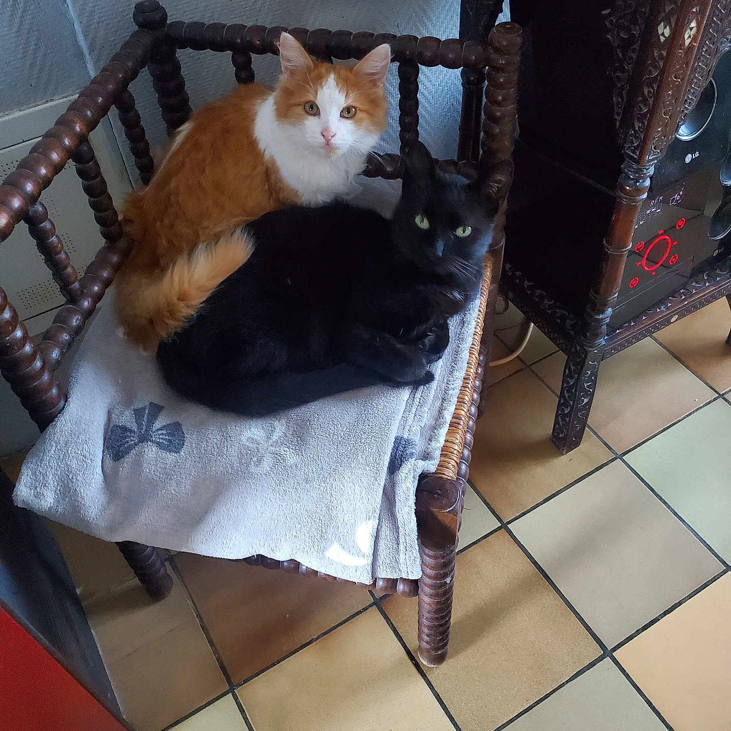 Vanille Et Chouchou