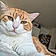 Ney