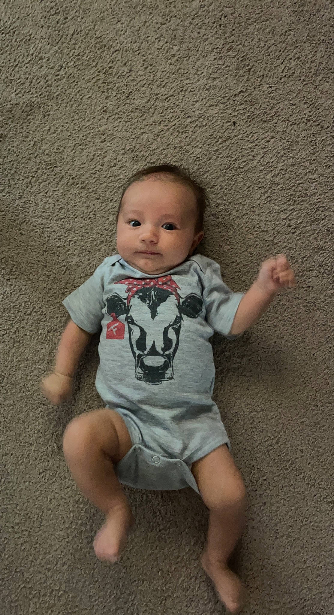 Oaklee is registered to the contest to win money with this photo: baby, baby_toddler_clothing, cheek, child, eye, flash_photography, flooring, foot, fun, grass, hair, happy, human_leg, pattern, person, sitting, skin, sleeve, t_shirt, toddler