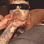 dog, sunglasses, tattoo, hand, indoor, brown_dog, orange_collar, pet, animal, relaxed, person, casual_clothing, leg, seated, close_up, companion, friendly, portrait, domestic_animal, cool