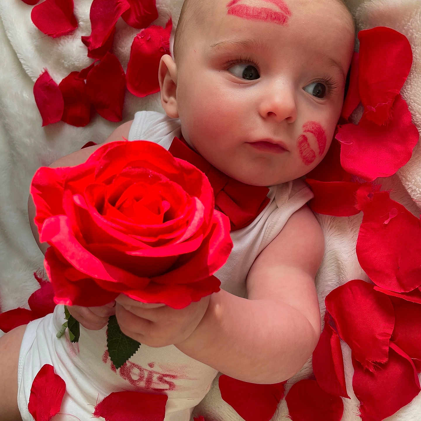 Milo a rejoint le concours — aidez-le/la à gagner de superbes lots ! baby, bodypart, dahlia, daisy, face, finger, flower, flowerarrangement, flowerbouquet, geranium, hand, head, leaf, newborn, person, petal, photography, plant, portrait, rose