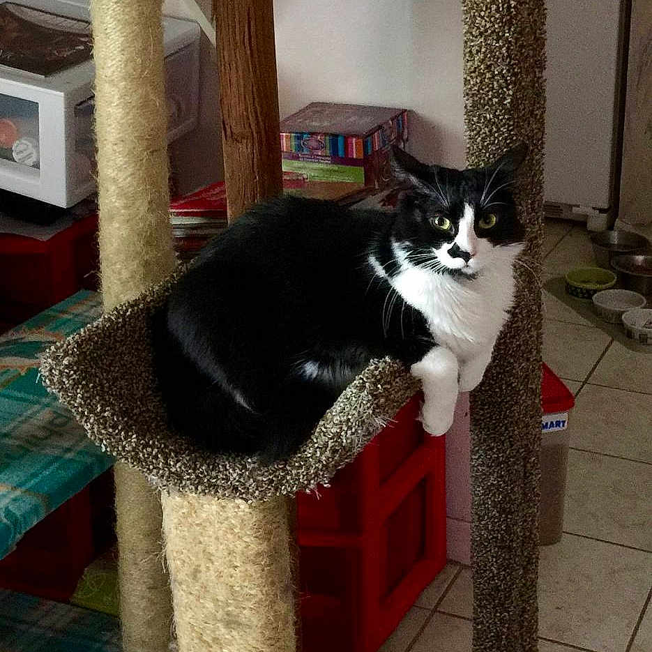 Gabby Jane