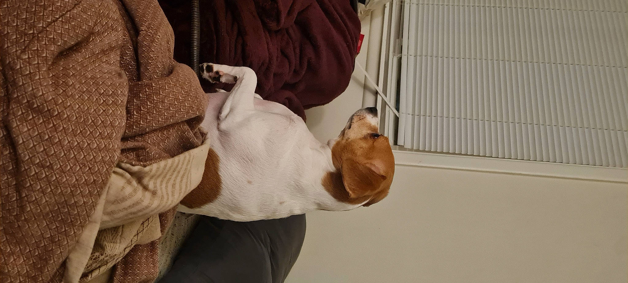 Atreyu joined the competition — help win amazing prizes! child, comfort, elbow, event, fur, gesture, knee, room, sitting, sleeve, wood, wrinkle, wrist