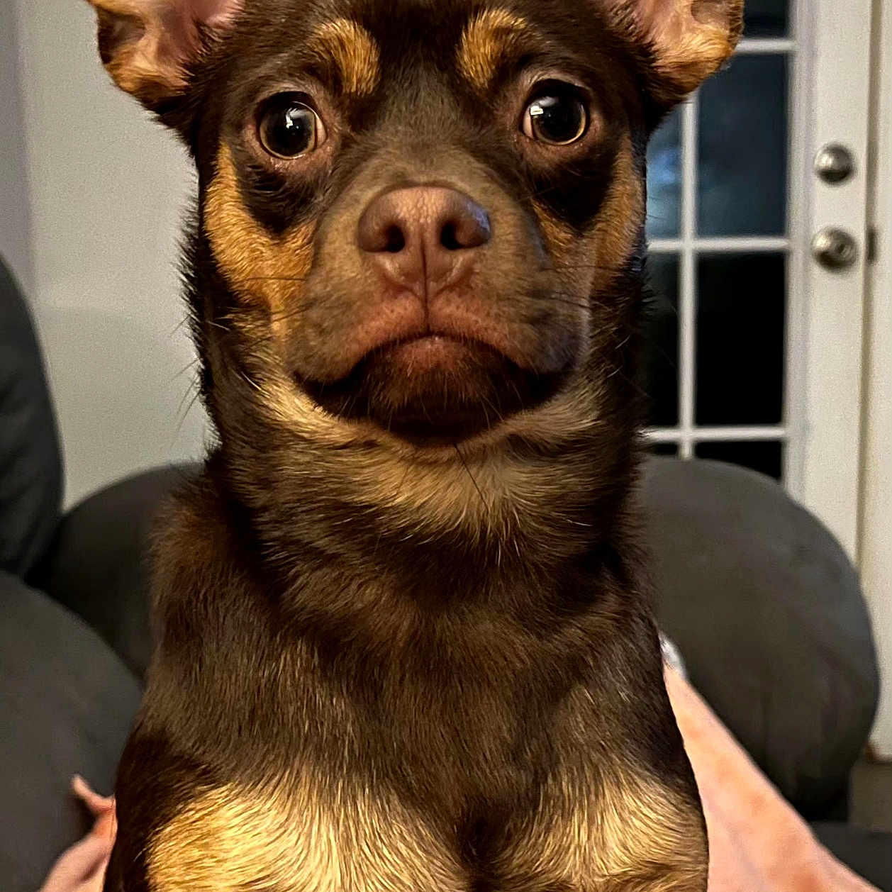 Tank
