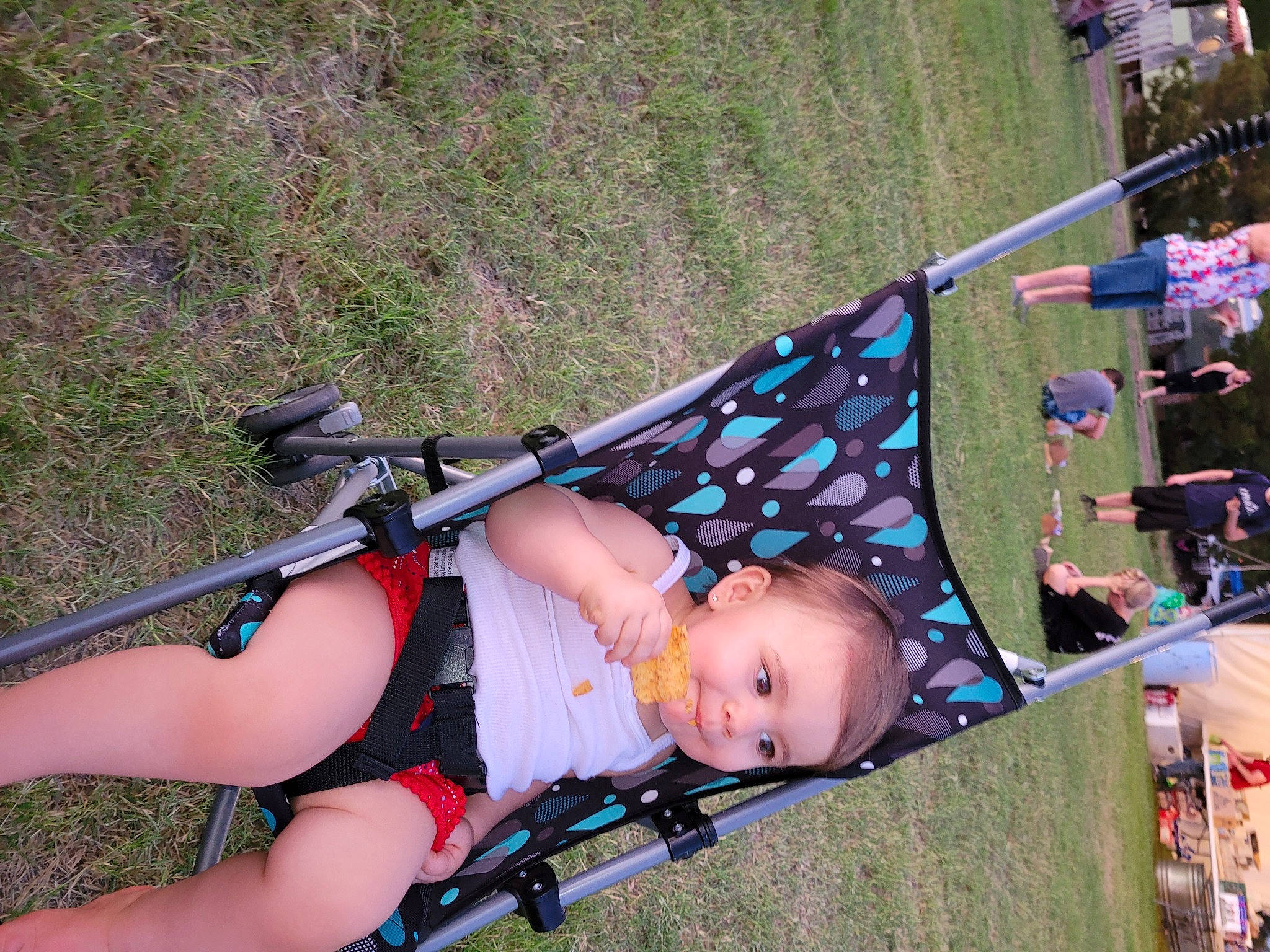 Sascha Frye-robey is registered to the contest to win money with this photo: adventure, auto_part, baby_carriage, baby_products, bicycle_frame, flag, fun, grass, human_leg, leisure, person, personal_protective_equipment, plant, recreation, thigh, tire, toddler, tree, wheel