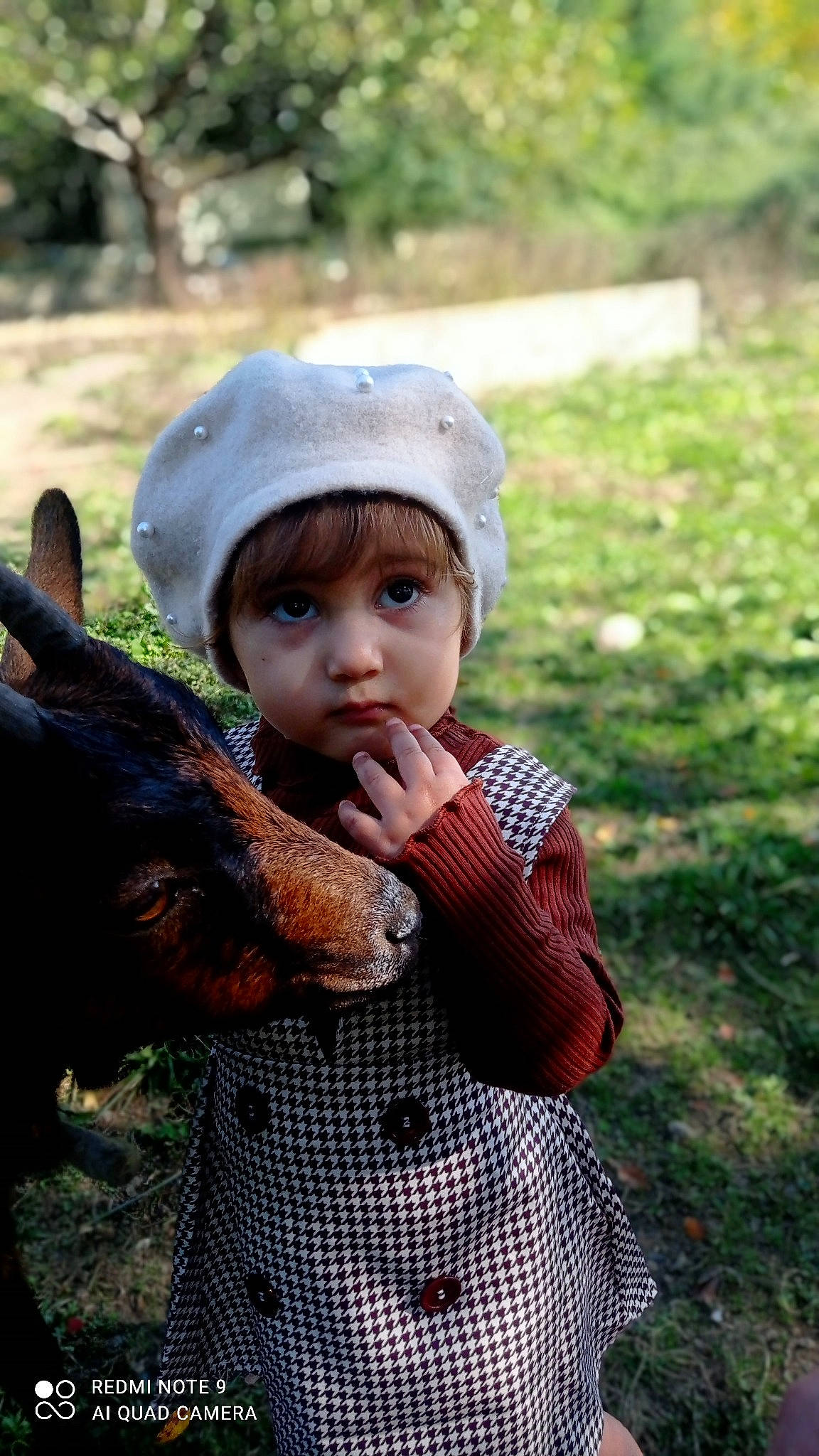 Kaïla participe au concours pour gagner de l'argent avec cette photo : cap, child, eye, fawn, goat, grass, hand, happy, hat, headwear, leaf, livestock, people_in_nature, person, photograph, plant, snapshot, snout, terrestrial_animal, toddler