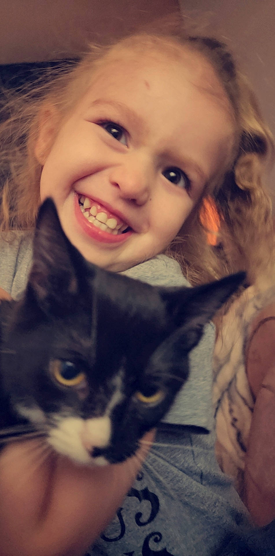 Anko joined the competition — help win amazing prizes! carnivore, cat, eye, eyebrow, eyelash, facial_expression, flash_photography, gesture, hair, happy, head, iris, lip, mammal, nose, organ, skin, smile, tooth, vertebrate