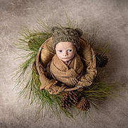 Gunner is registered to the contest to win money with this photo: baby, infant, basket, blanket, knit_hat, brown, pine_needles, pine_cones, wrapped, cozy, portrait, studio, cute, newborn, wide_eyes, expression, soft_texture, natural_elements, top_view, still_life