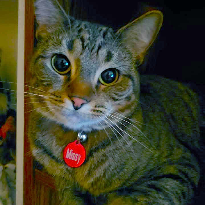 Lil' Missy