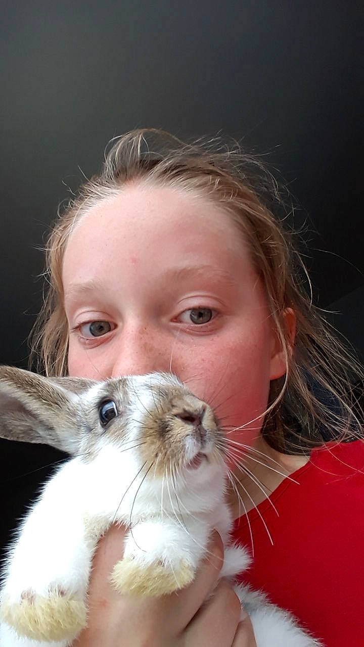 Camille participe au concours pour gagner de l'argent avec cette photo : carnivore, cat, domestic_rabbit, ear, fawn, felidae, fur, hair, joy, mammal, nose, person, rabbit, rabbits_and_hares, small_to_medium_sized_cats, snout, whiskers