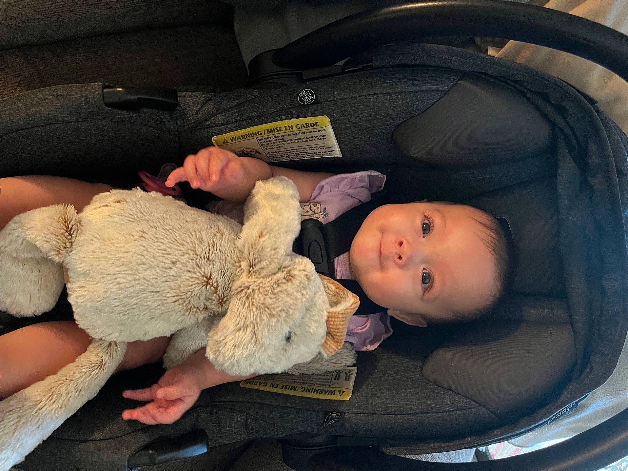 Luna is registered to the contest to win money with this photo: auto_part, baby, baby_carriage, baby_products, baby_toddler_clothing, bag, baggage, car_seat, child, comfort, couch, family_car, human_leg, lap, mammal, person, sitting, thigh, toddler, vehicle_door