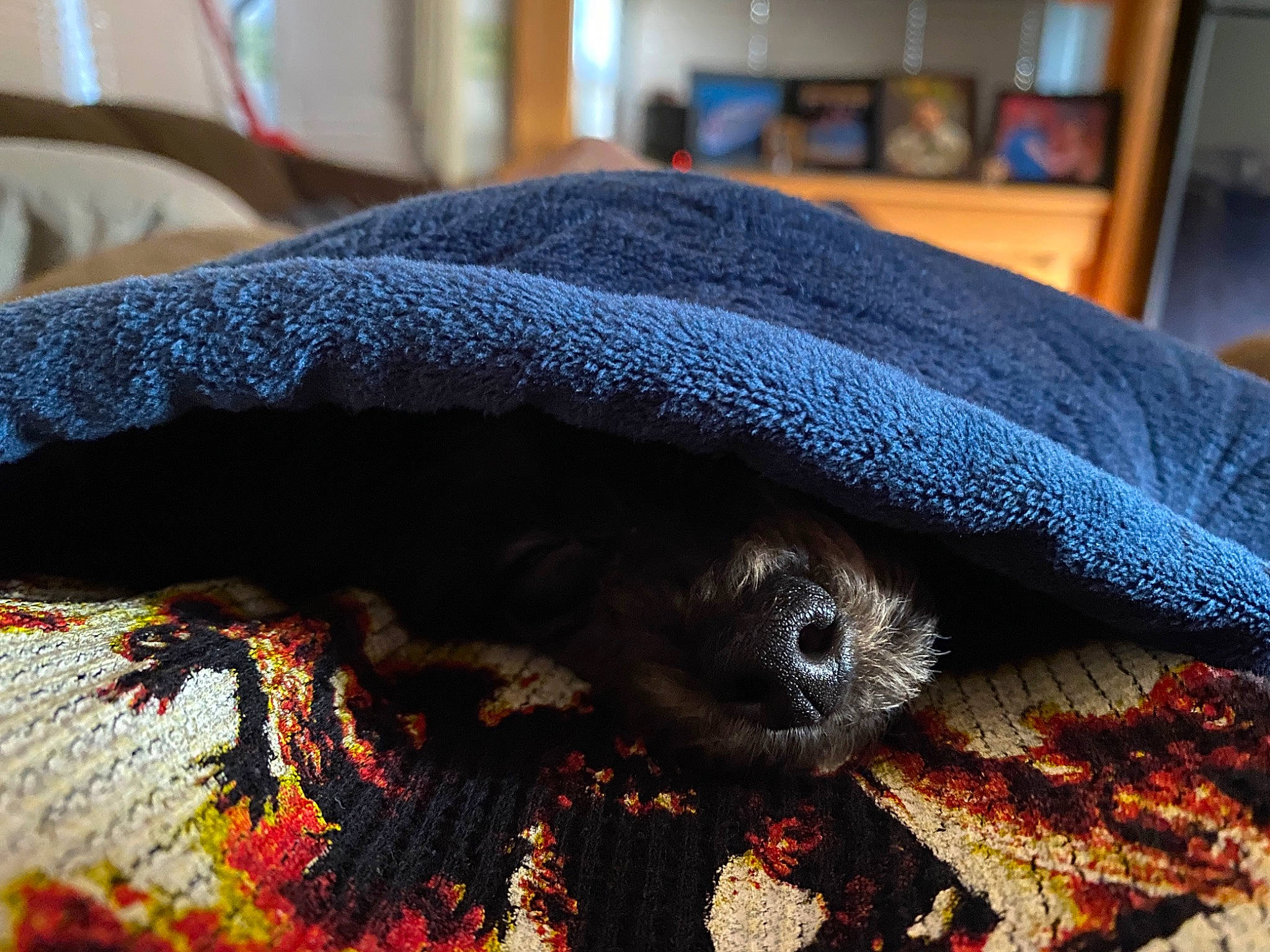 Cocoa Chanel is registered to the contest to win money with this photo: art, bedding, beret, blanket, blue, crochet, cushion, fur, furniture, hat, headgear, knitting, linens, outerwear, pattern, sweater, textile, thread, wool, woolen