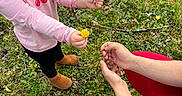 Willow joined the competition — help win amazing prizes! child, pink_shirt, cherries, curly_hair, flowers, grass, outdoor, nature, person, red_pants, hands, offering, wildflowers, greenery, casual_clothing, boots, spring, interaction, cute, playful