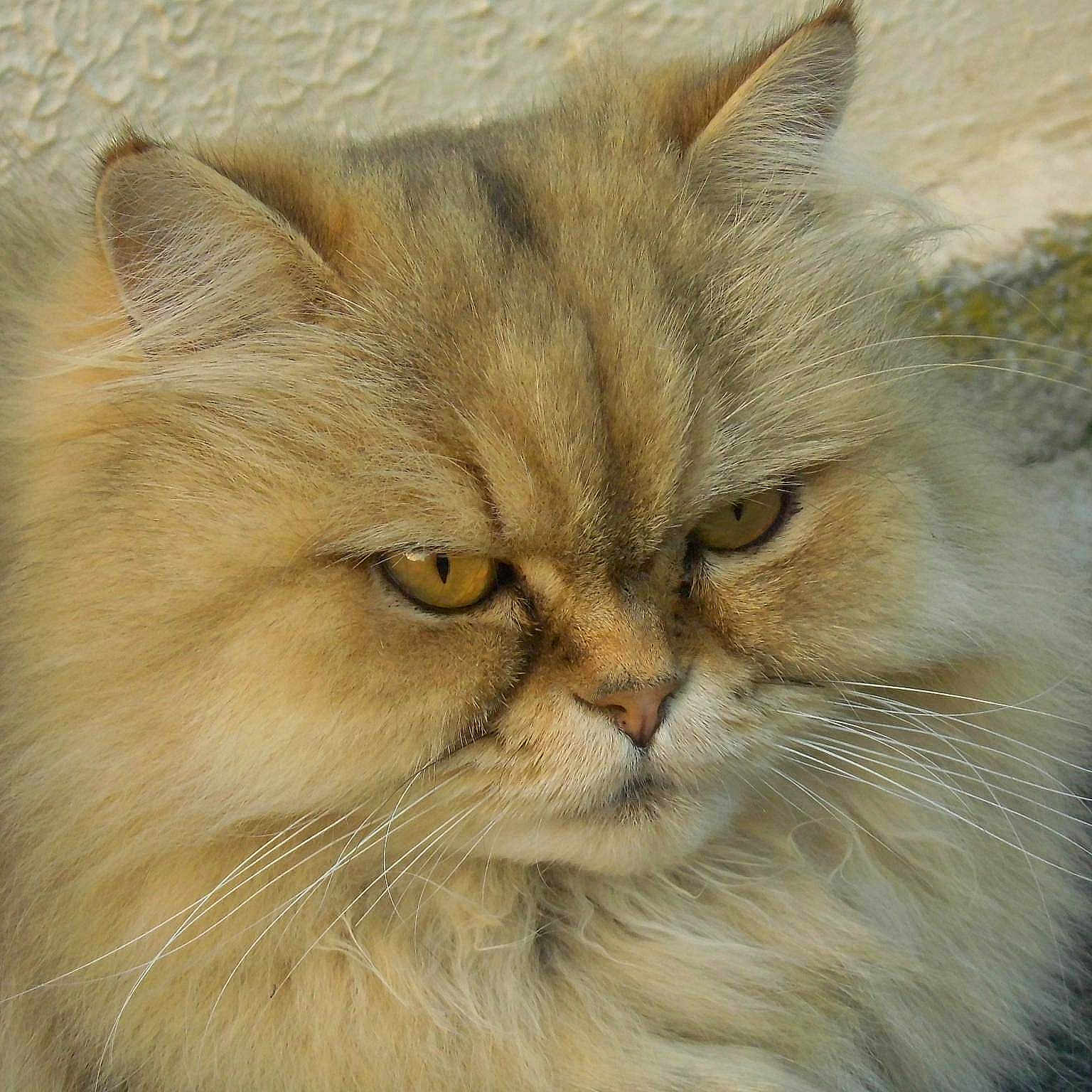 Capucine participe au concours pour gagner de l'argent avec cette photo :