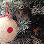 cat, christmas_tree, ornament, pine_branches, frosted, holiday, decorations, red_buttons, curious, peeking, greenery, white_ornament, ribbon, festive, animal, pet, closeup, indoor, seasonal, winter