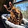 Tigger