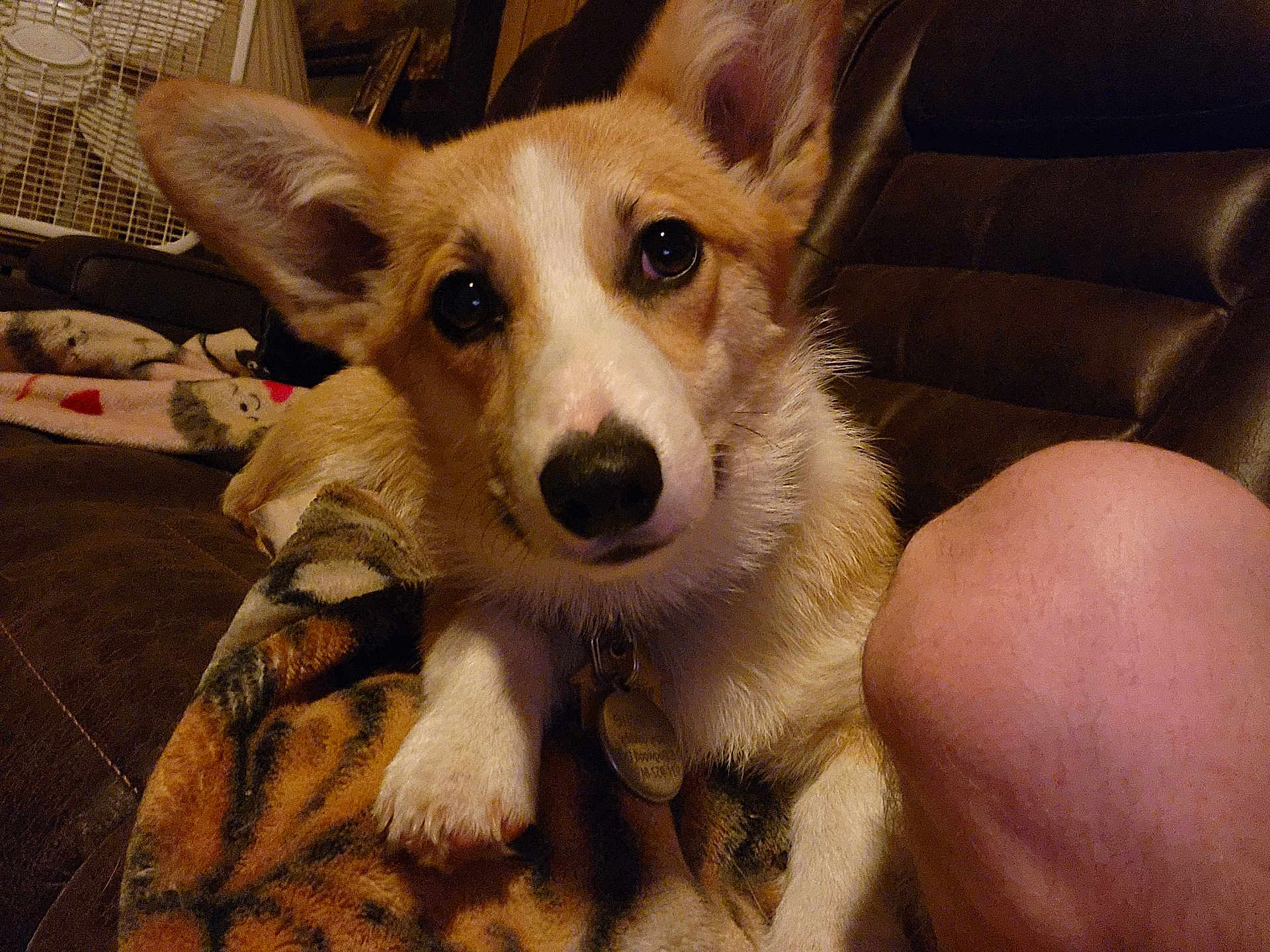 Charlie