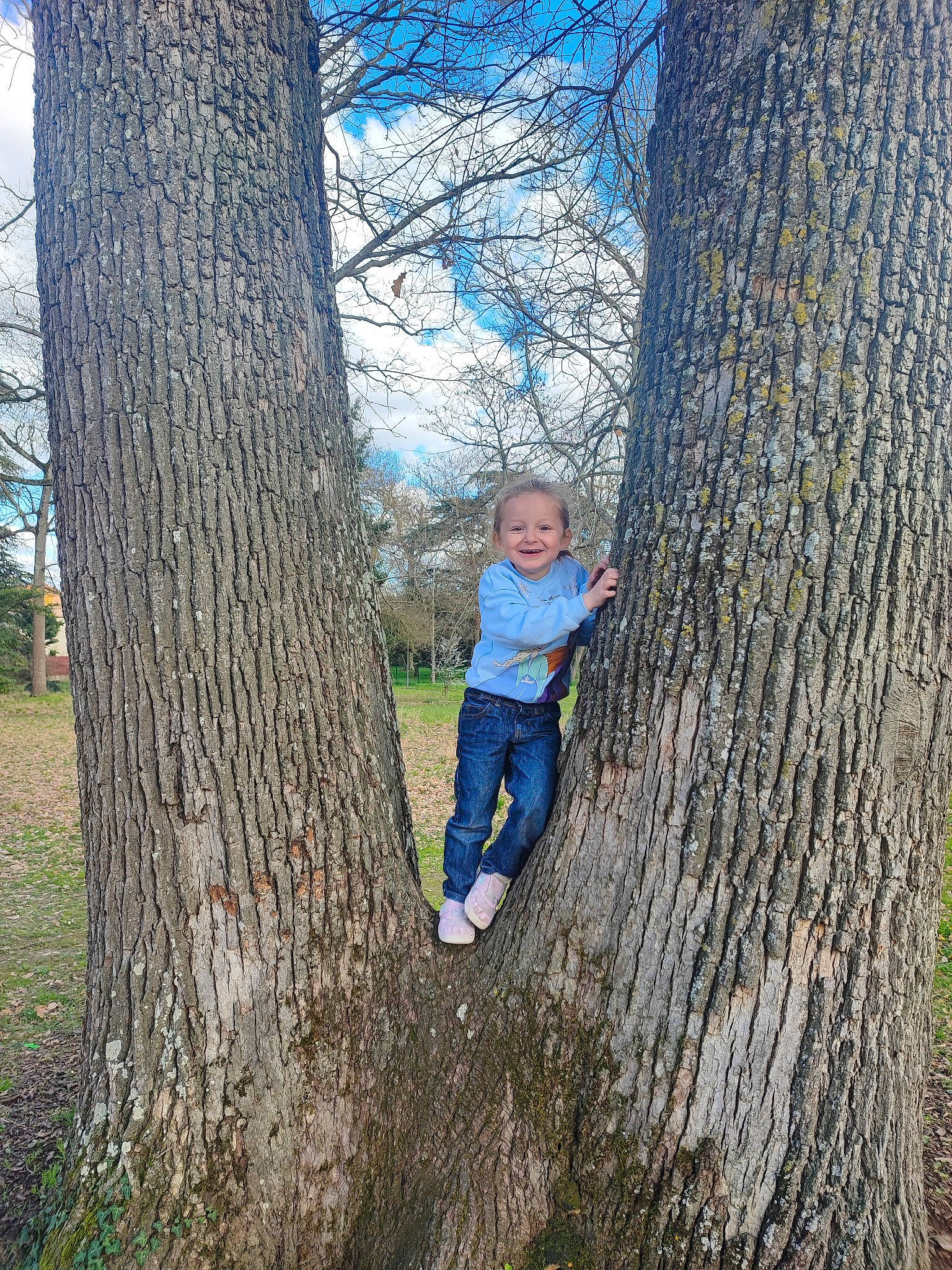 Thalya participe au concours pour gagner de l'argent avec cette photo : baby_toddler_clothing, cloud, deciduous, electric_blue, forest, grass, happy, joy, leaf, leisure, natural_landscape, people_in_nature, person, plant, sky, smile, toddler, tree, trunk, twig