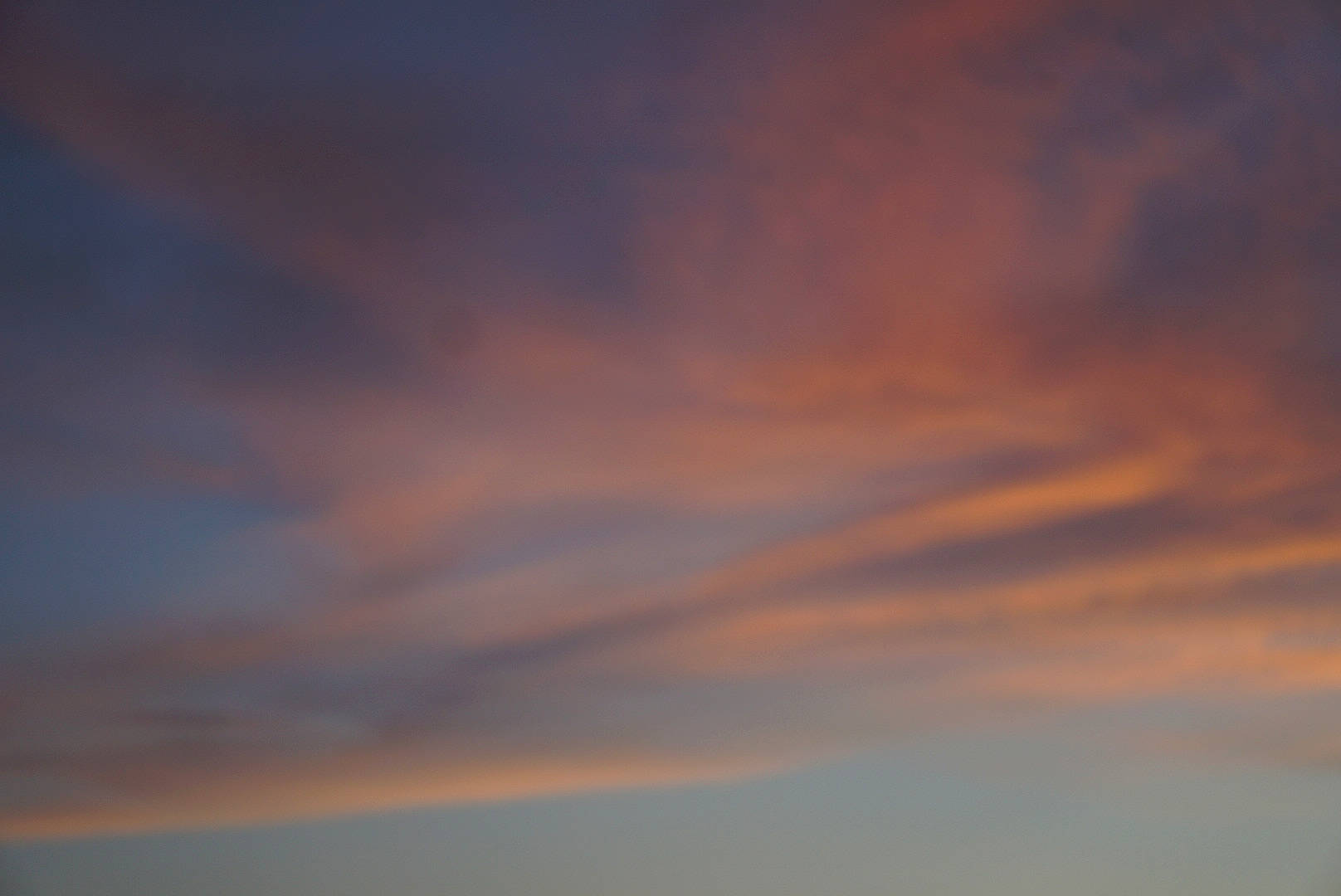 Grover joined the competition — help win amazing prizes! afterglow, atmosphere, atmospheric_phenomenon, celestial_event, city, cloud, cumulus, dawn, dusk, evening, event, horizon, landscape, meteorological_phenomenon, natural_landscape, red_sky_at_morning, sky, sunrise, sunset, tree