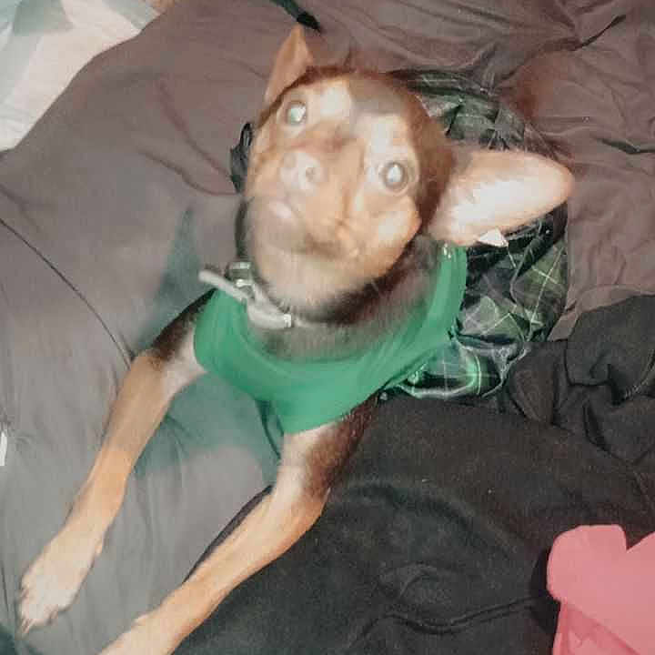 Tink