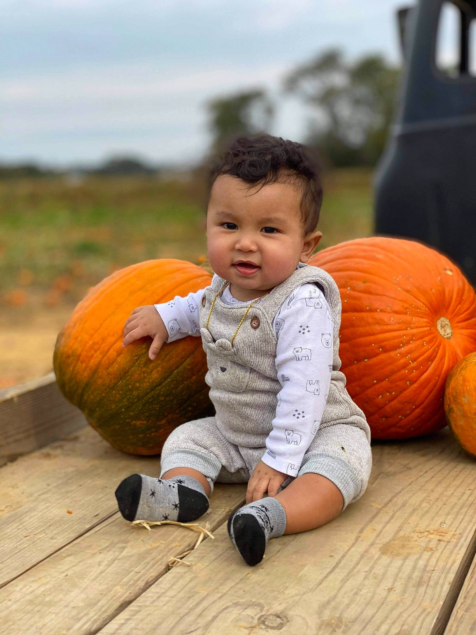 Warren joined the competition — help win amazing prizes! _and_melon_family, _gourd, baby_toddler_clothing, calabaza, child, cucumber, cucurbita, gourd, hardwood, local_food, natural_foods, nose, orange, people_in_nature, person, produce, pumpkin, squash, toddler, vegetable