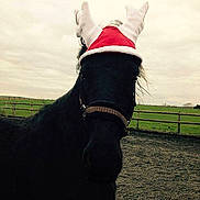 Hielke De Saint Christophe participe au concours pour gagner de l'argent avec cette photo :