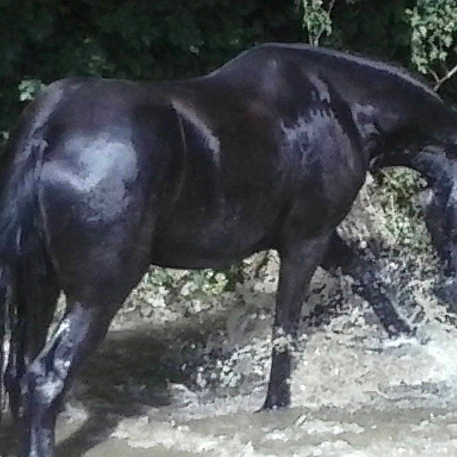 Hielke De Saint Christophe