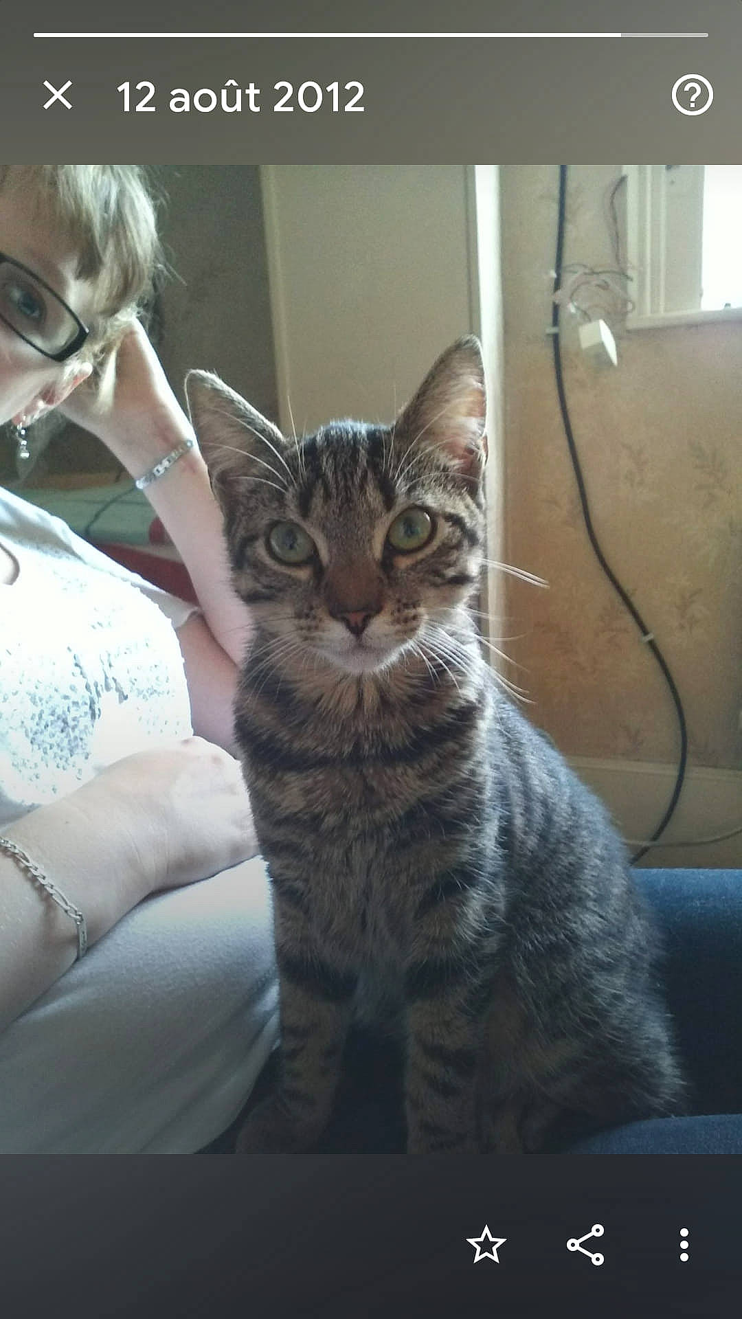 Caramel a rejoint le concours — aidez-le/la à gagner de superbes lots ! carnivore, cat, claw, comfort, domestic_short_haired_cat, door, eyewear, felidae, fur, goggles, paw, photo_caption, sitting, small_to_medium_sized_cats, snout, tail, whiskers