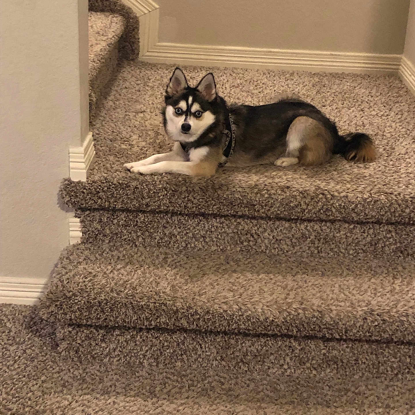 Karma