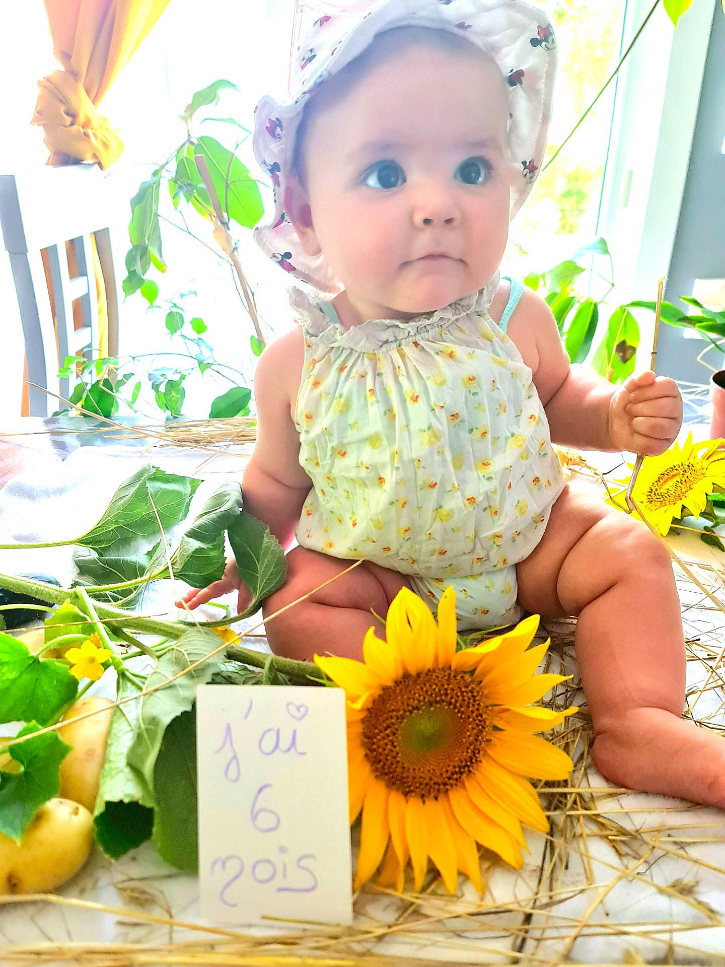 Alyannah a rejoint le concours — aidez-le/la à gagner de superbes lots ! baby, baby_toddler_clothing, bouquet, child, eye, floral_design, flower, flower_arranging, grass, green, handwriting, happy, natural_foods, person, petal, photograph, plant, snapshot, summer, toddler