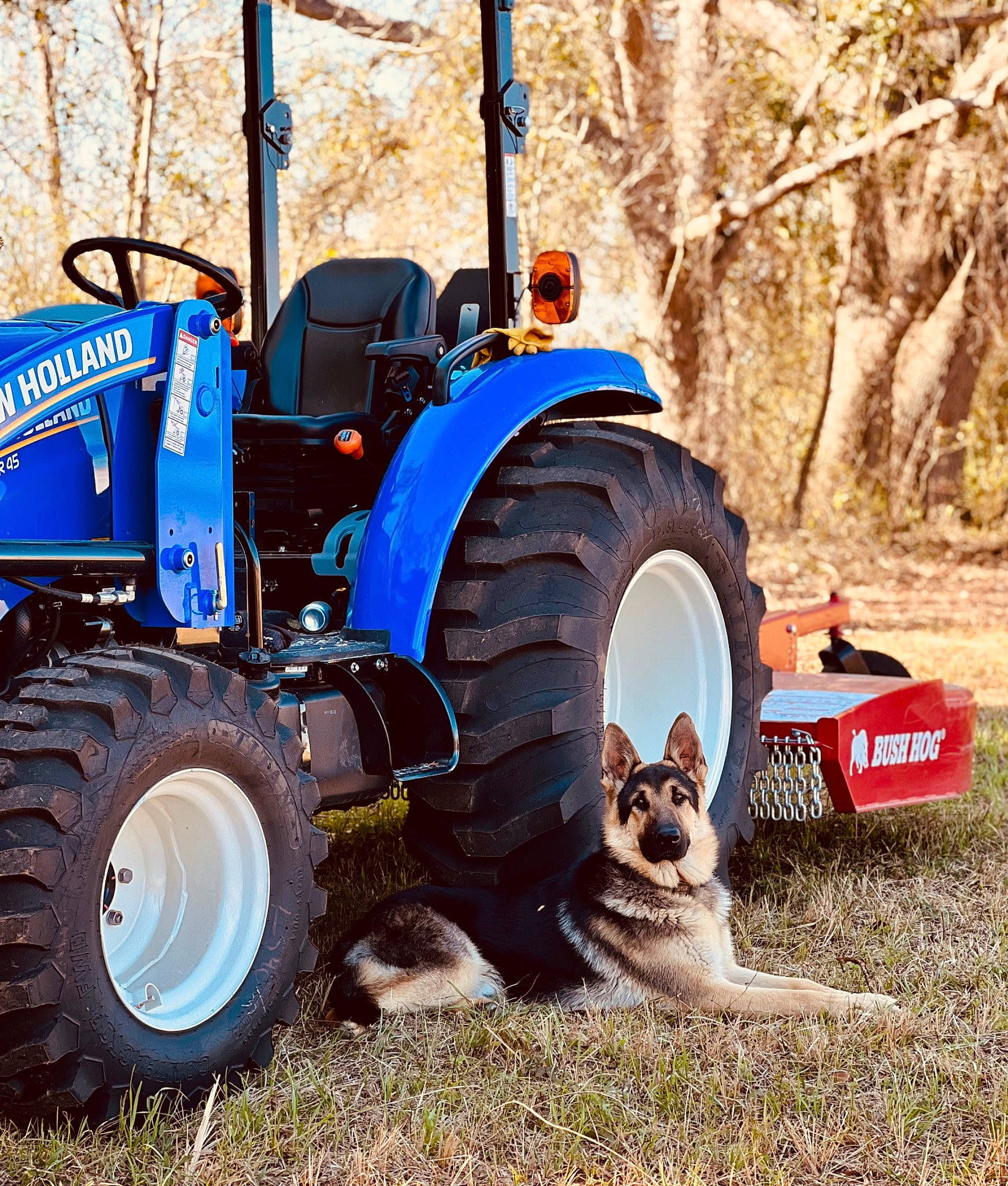 Samson joined the competition — help win amazing prizes! agricultural_machinery, agriculture, automotive_tire, automotive_wheel_system, fender, grass, mammal, mode_of_transport, motor_vehicle, plant, rolling, rural_area, tire, tractor, tread, tree, vehicle, vertebrate, wheel, wood