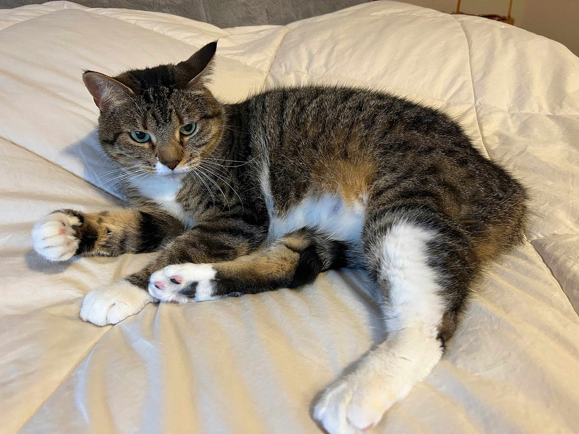 Bootsie