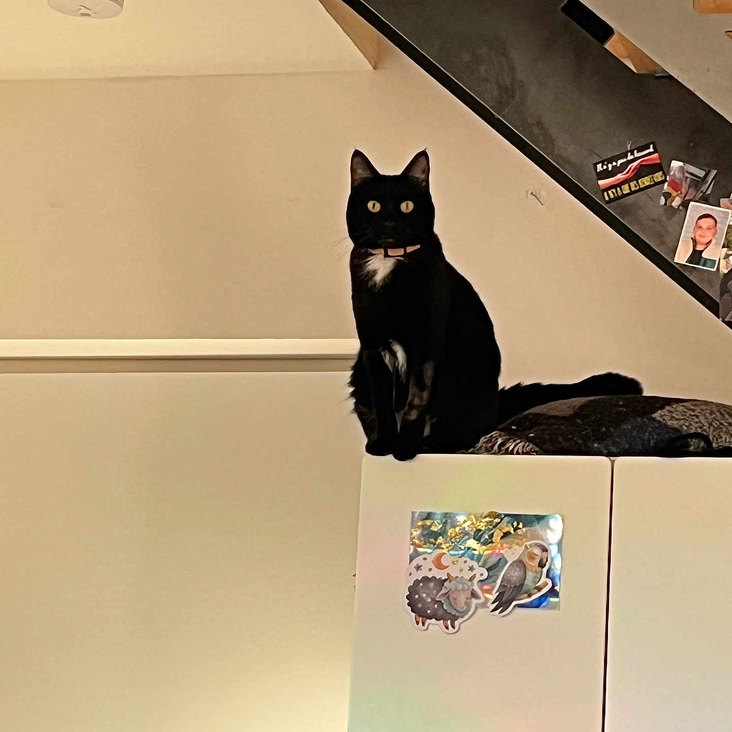 Kiara
