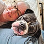 Nala a rejoint le concours — aidez-le/la à gagner de superbes lots ! animal, blanket, bulldog, closeup, comfort, cozy, cushion, dog, eyewear, face, glasses, head, indoor, person, pet, relaxed, resting, smile, snuggle, wall